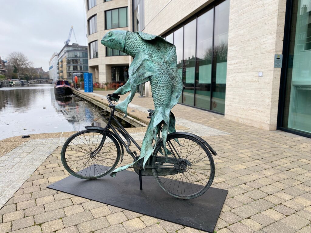 Fish On A Bicycle