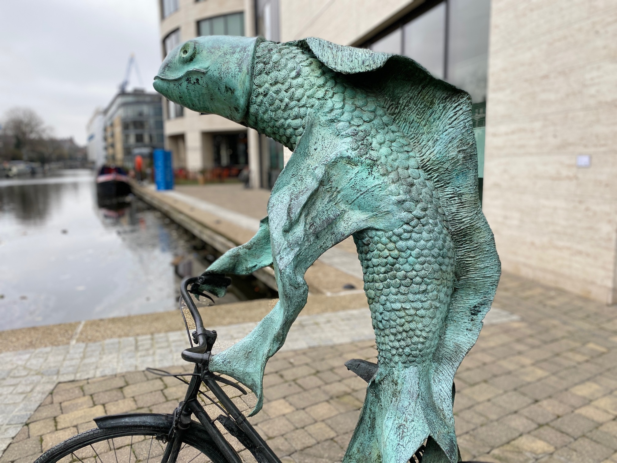 Fish On A Bicycle 